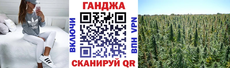 Виды наркоты Медынь ГАШ Конопля Кокаин Codein Мефедрон Галлюциногенные грибы