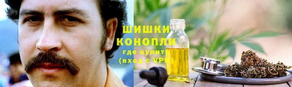 амф Корсаков