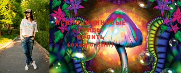 амф Корсаков
