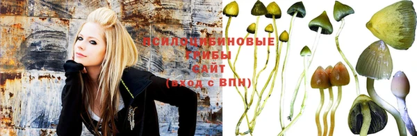 MESCALINE Коряжма