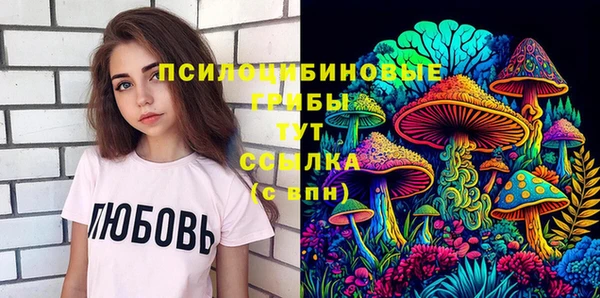 амф Корсаков