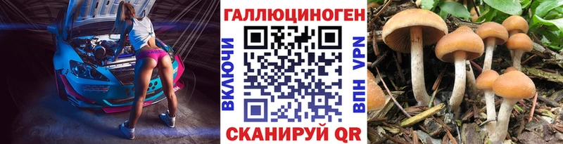 сайты даркнета наркотические препараты  Медынь  Галлюциногенные грибы мицелий  blacksprut ссылки 